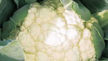 Cauliflower